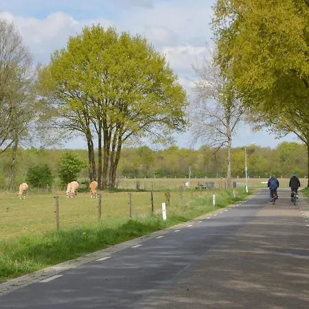 Lovely In Limburg Amid Lush Forest * Stramproy