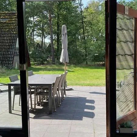Lovely In Limburg Amid Lush Forest *