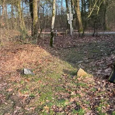 Lovely In Limburg Amid Lush Forest Holiday home