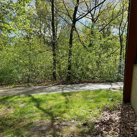 Holiday home Lovely In Limburg Amid Lush Forest
