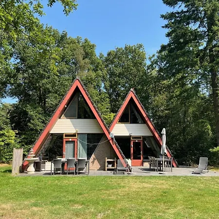 Lovely In Limburg Amid Lush Forest *