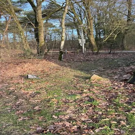 度假居 Dine & Unwind Vacation Spot