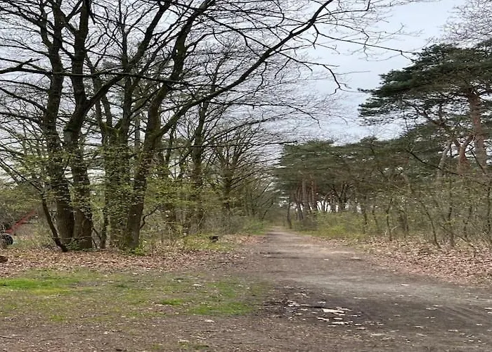 Dine & Unwind Vacation Spot *