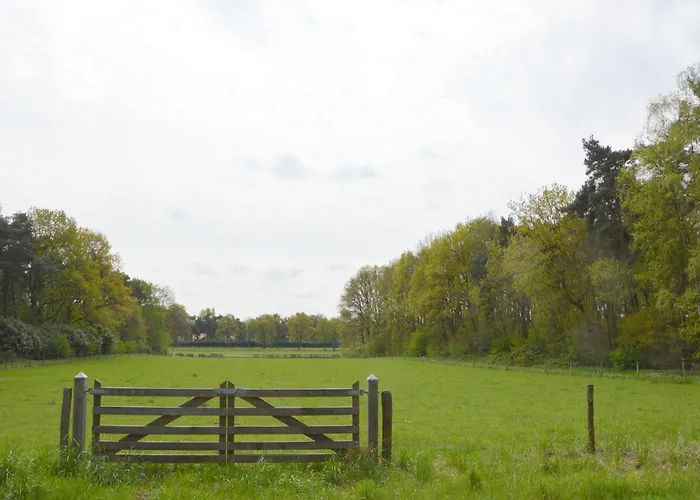 Dine & Unwind Vacation Spot