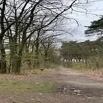 Dine & Unwind Vacation Spot *