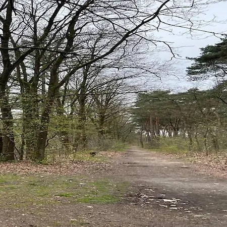 Dine & Unwind Vacation Spot *