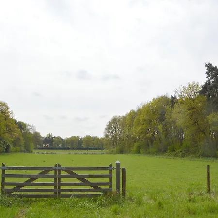 Dine & Unwind Vacation Spot